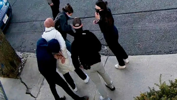 Judge Orders Release of Tufts Student Detained by ICE Over Gaza Essay