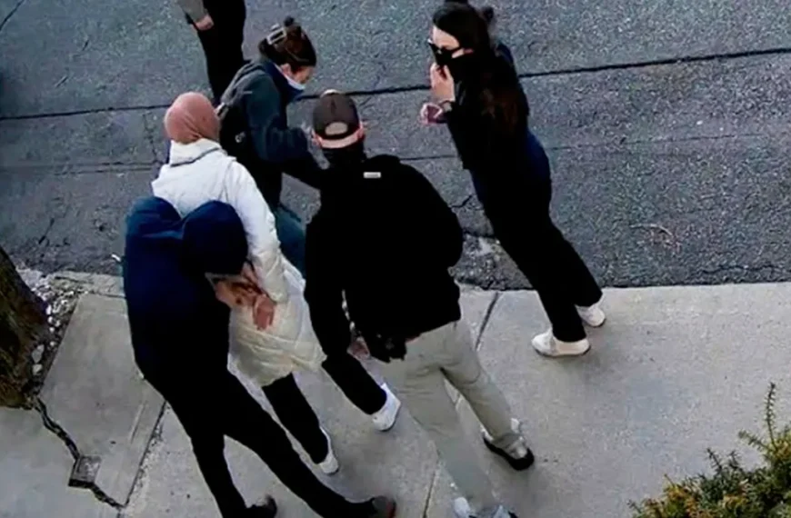 Judge Orders Release of Tufts Student Detained by ICE Over Gaza Essay