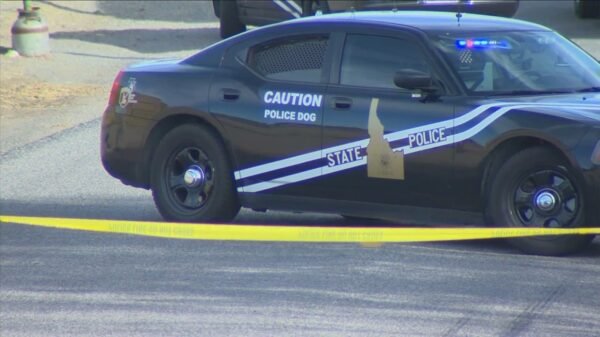 Deputy Fatally Shoots Armed Man in Bruneau During Early Morning Confrontation