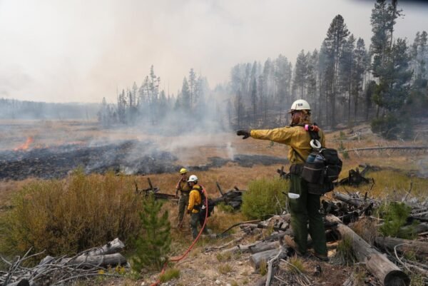 Firefighters Contain 100-Acre Brush Fire Near Highway 16 in Star, Idaho