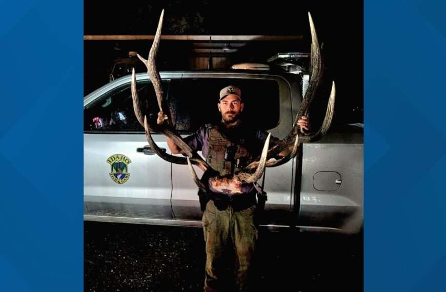 Idaho Hunter Guilty of Illegally Shooting Trophy Bull Elk in Wolf Lodge Area