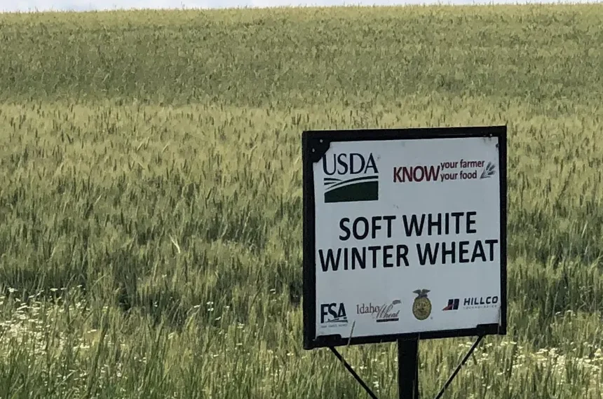 Idaho Secures $1.2 Billion Wheat Export Deal With Taiwan