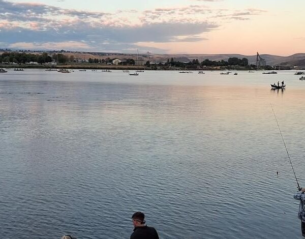 Idaho Extends Fall Chinook Harvest Restrictions, Updates Steelhead Returns