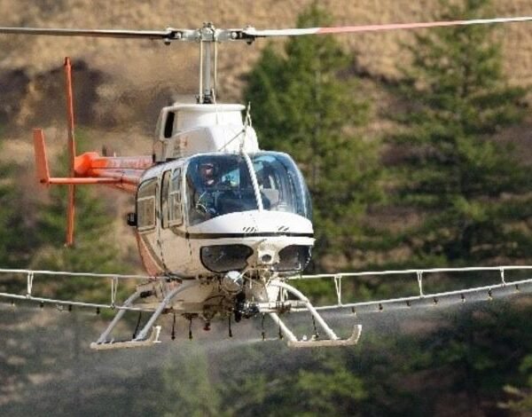 Helicopter Herbicide Spraying Planned in Idaho’s Bear Lake Plateau