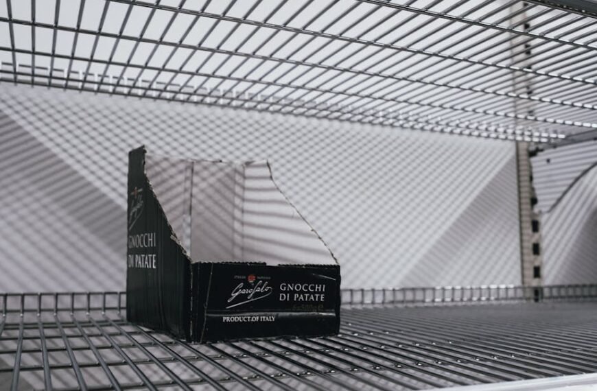 Johannesburg Faces Criticism Over Water Crisis Management