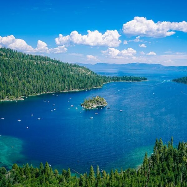 Tragic Avalanche Claims Lives of Six Mothers Near Lake Tahoe