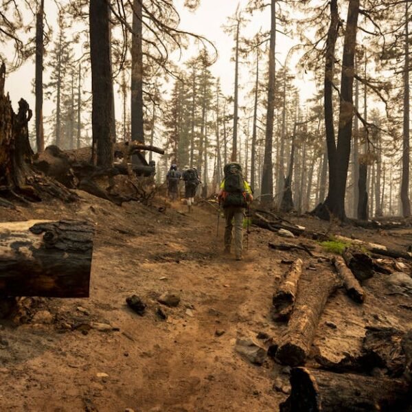 Federal Proposal Aims to Increase Logging in Western Oregon Forests