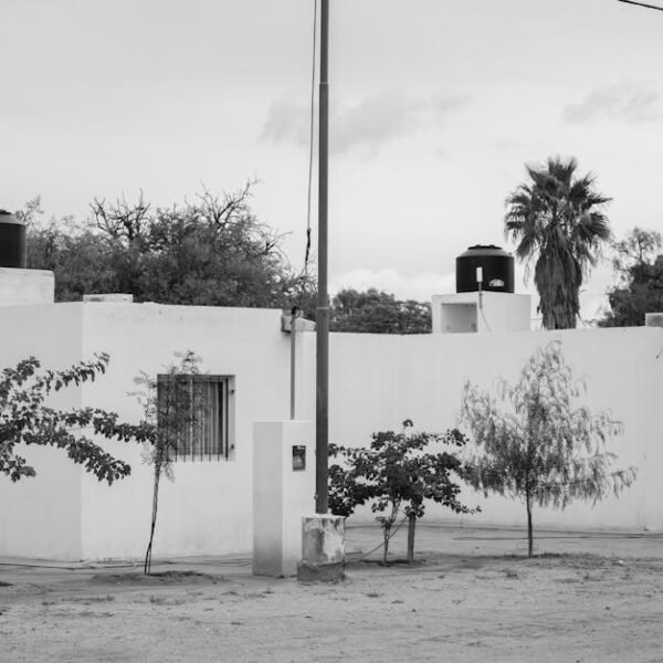 Trump Assures Governors: No Unwanted Immigration Enforcement Surges in States