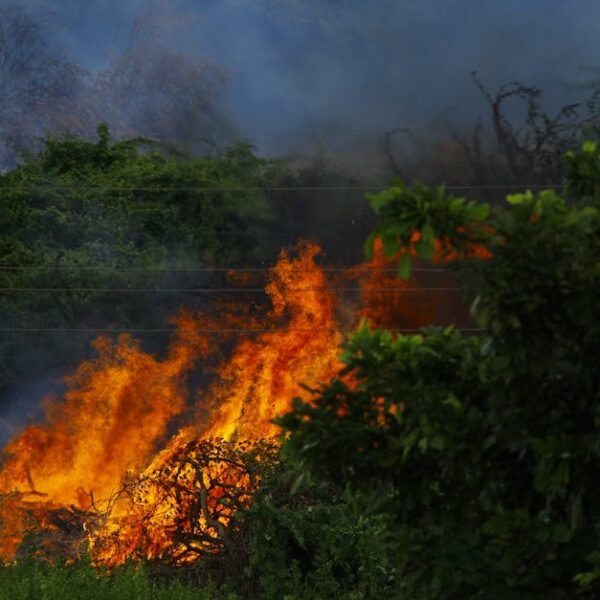 Idaho Legislature Declines to Restore Wildfire Protection Funding