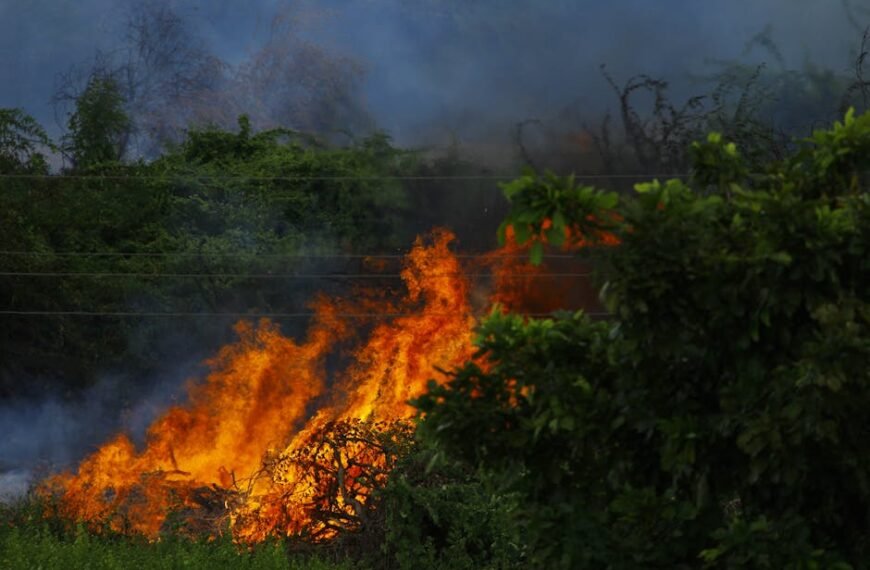 Idaho Legislature Declines to Restore Wildfire Protection Funding