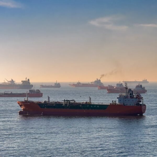 Impact of Strait of Hormuz Disruptions on Global Oil Supply