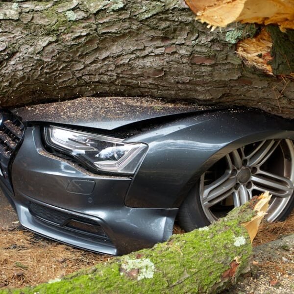 Impact of 2025 Natural Disaster Costs on Home Insurance Rates