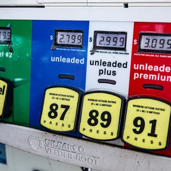 Challenges in Reducing Global Oil and Gasoline Prices