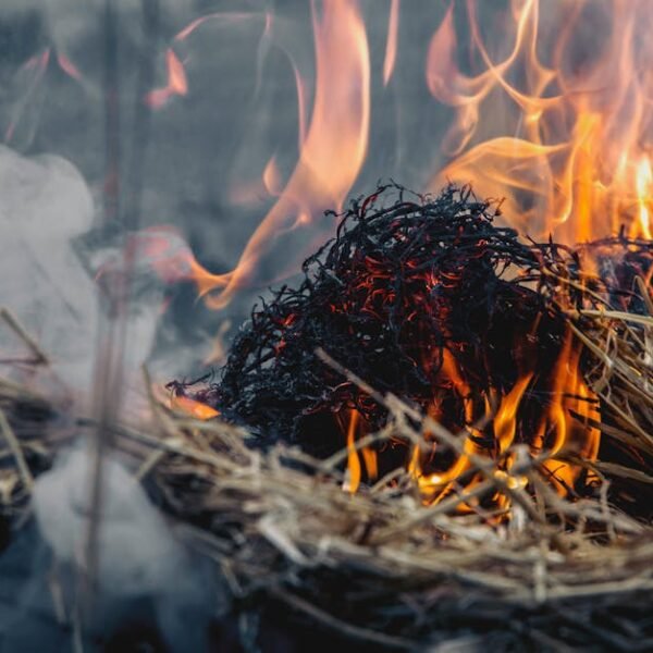 Idaho Faces Hot, Dry Weather: Implications for Agriculture and Fire Risk