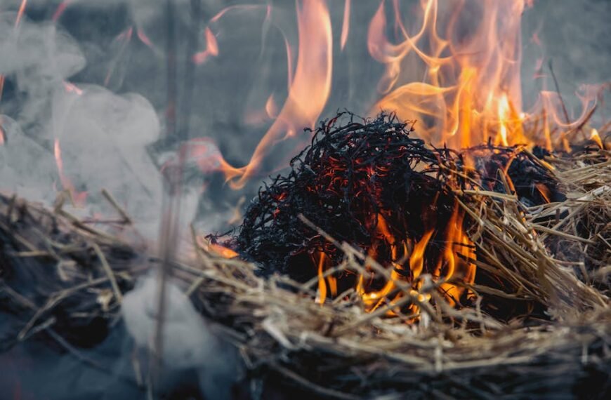 Idaho Faces Hot, Dry Weather: Implications for Agriculture and Fire Risk