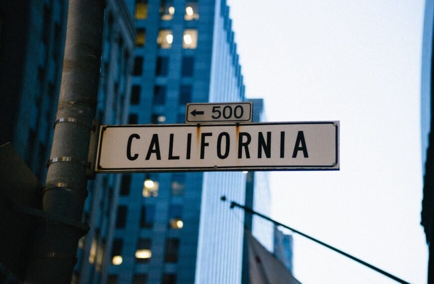 Climate executive warns California ‘functionally bankrupt,’ $1T shortfall could shake nation