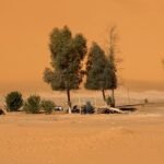 feds-pitch-wild-horse-removals-new-herd-plans-to-e