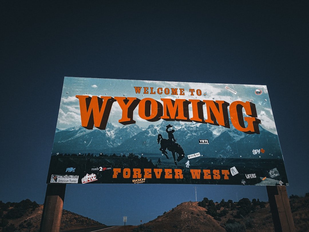 how-will-wyoming-enforce-its-new-anti-abortion-law