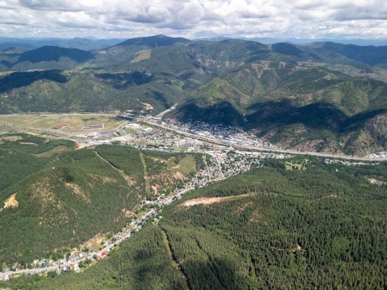 Kellogg becomes the first city in Idaho to ban kratom