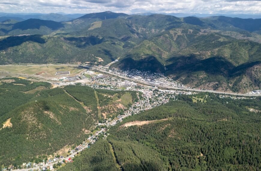 Kellogg becomes the first city in Idaho to ban kratom