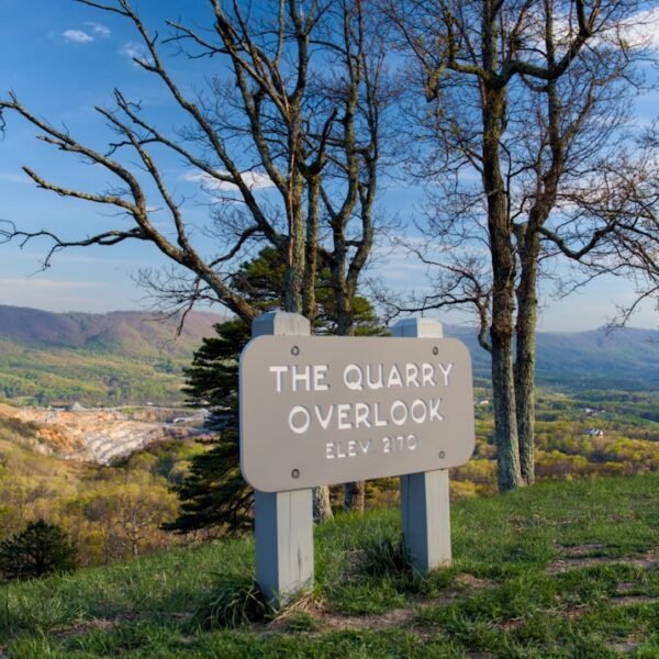 Local Lookout: Laramie mulls $95M tax ballot Freedom Caucus senator won’t run again Police see overdose spike