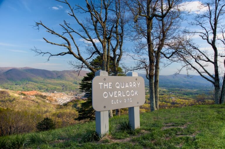 local-lookout-laramie-mulls-95m-tax-ballot-freedom