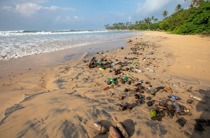 Oregon DEQ fines Pacific Seafood $3.2 million for water pollution violations