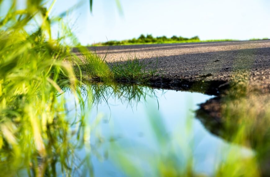 Surface Water Coalition, Groundwater Districts seek emergency stay on Butte Co. curtailment