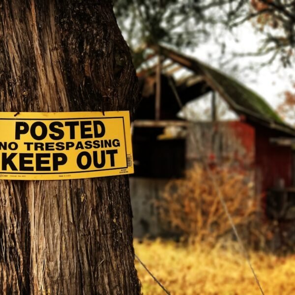 Tornado barrels through Oklahoma, damaging 40 homes and shutting down roads