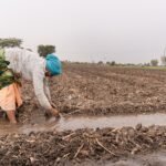 turn-the-pumps-back-on-curtailment-order-temporari