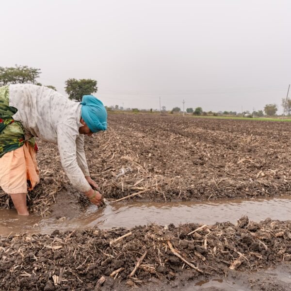 Turn the pumps back on: Curtailment order temporarily lifted for most Butte County farmers