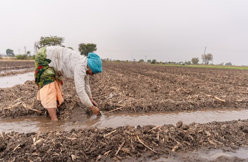 Turn the pumps back on: Curtailment order temporarily lifted for most Butte County farmers