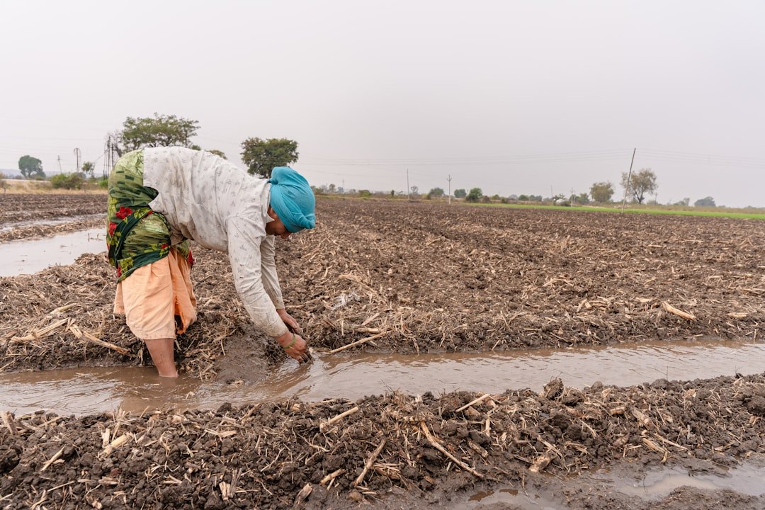 turn-the-pumps-back-on-curtailment-order-temporari