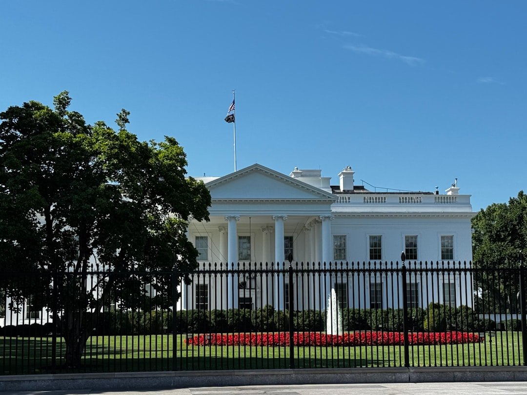 Photo by KDavid Montero on Unsplash