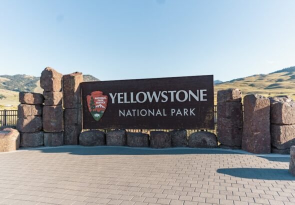 yellowstone-national-park-to-open-some-entrances-a