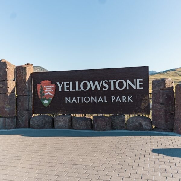 Yellowstone National Park to open some entrances and roads to public April 17