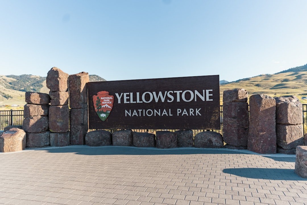 yellowstone-national-park-to-open-some-entrances-a