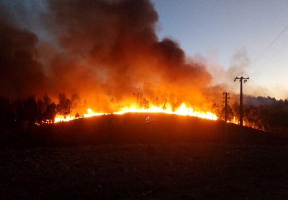 wildfires-are-torching-state-budgets