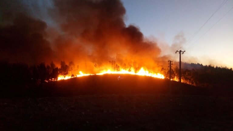 wildfires-are-torching-state-budgets