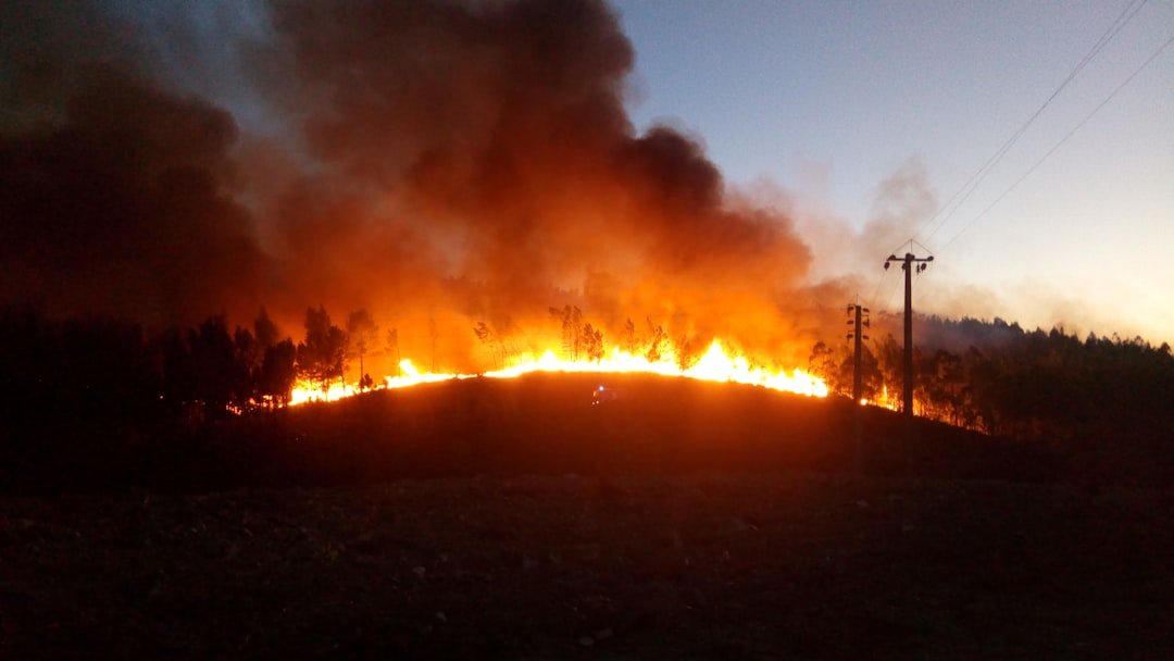 wildfires-are-torching-state-budgets